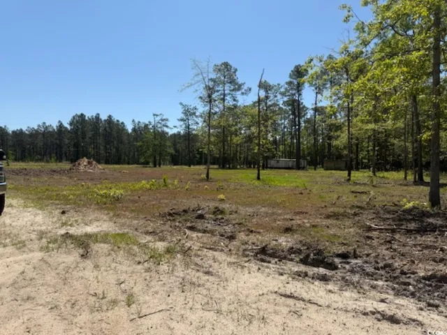 $59,000 | Tbd Johnson Road, Georgetown, SC 29440