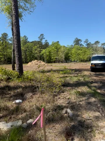 $59,000 | Tbd Johnson Road, Georgetown, SC 29440