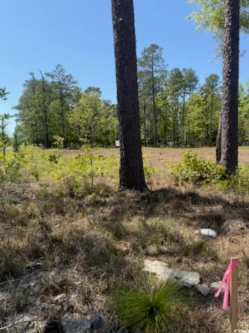 $59,000 | Tbd Johnson Road, Georgetown, SC 29440