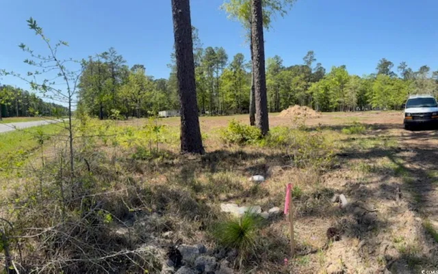 $59,000 | Tbd Johnson Road, Georgetown, SC 29440