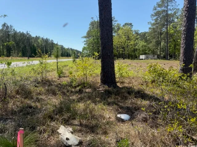 $59,000 | Tbd Johnson Road, Georgetown, SC 29440