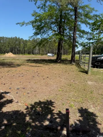 $59,000 | Tbd Johnson Road, Georgetown, SC 29440