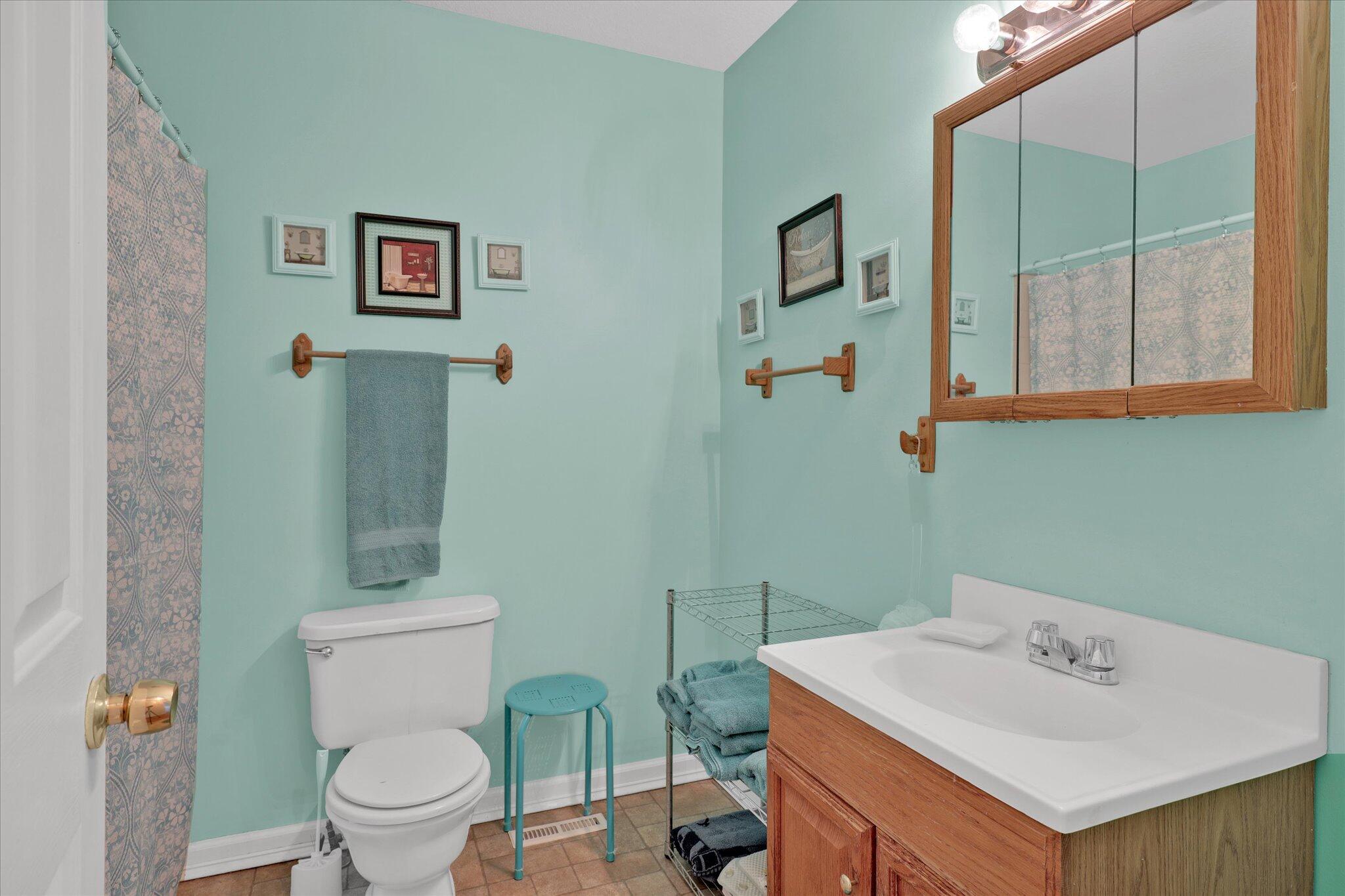 3716 Mutton Hollow Road Knoxville, TN 37920 - Photo 25 of 36 2nd master bath