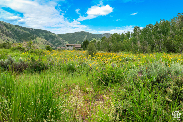 Green Canyon Road Inkom, ID 83245 - Photo 6 of 21 Mountain view
