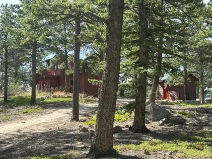 a view of a yard with plants and trees
