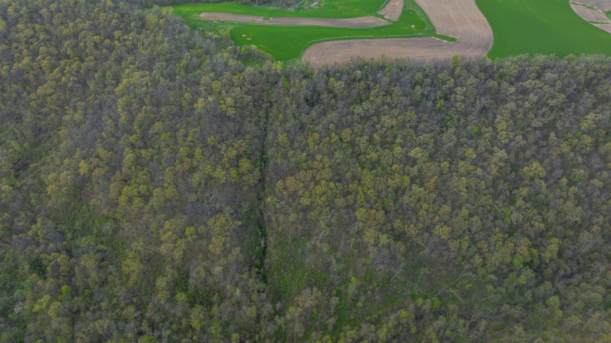 0 Maplewood Lane Alma, WI 54610 - Photo 6 of 35