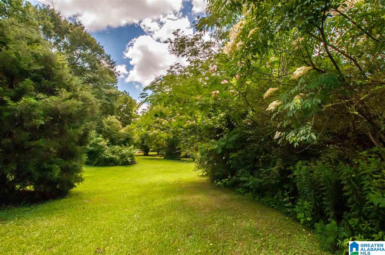 1126 Highway 144 Ragland, AL 35131 - Photo 15 of 22