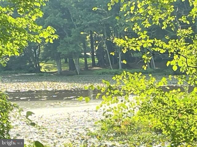 14710 Woodland Road Eden, MD 21822 - Photo 12 of 13