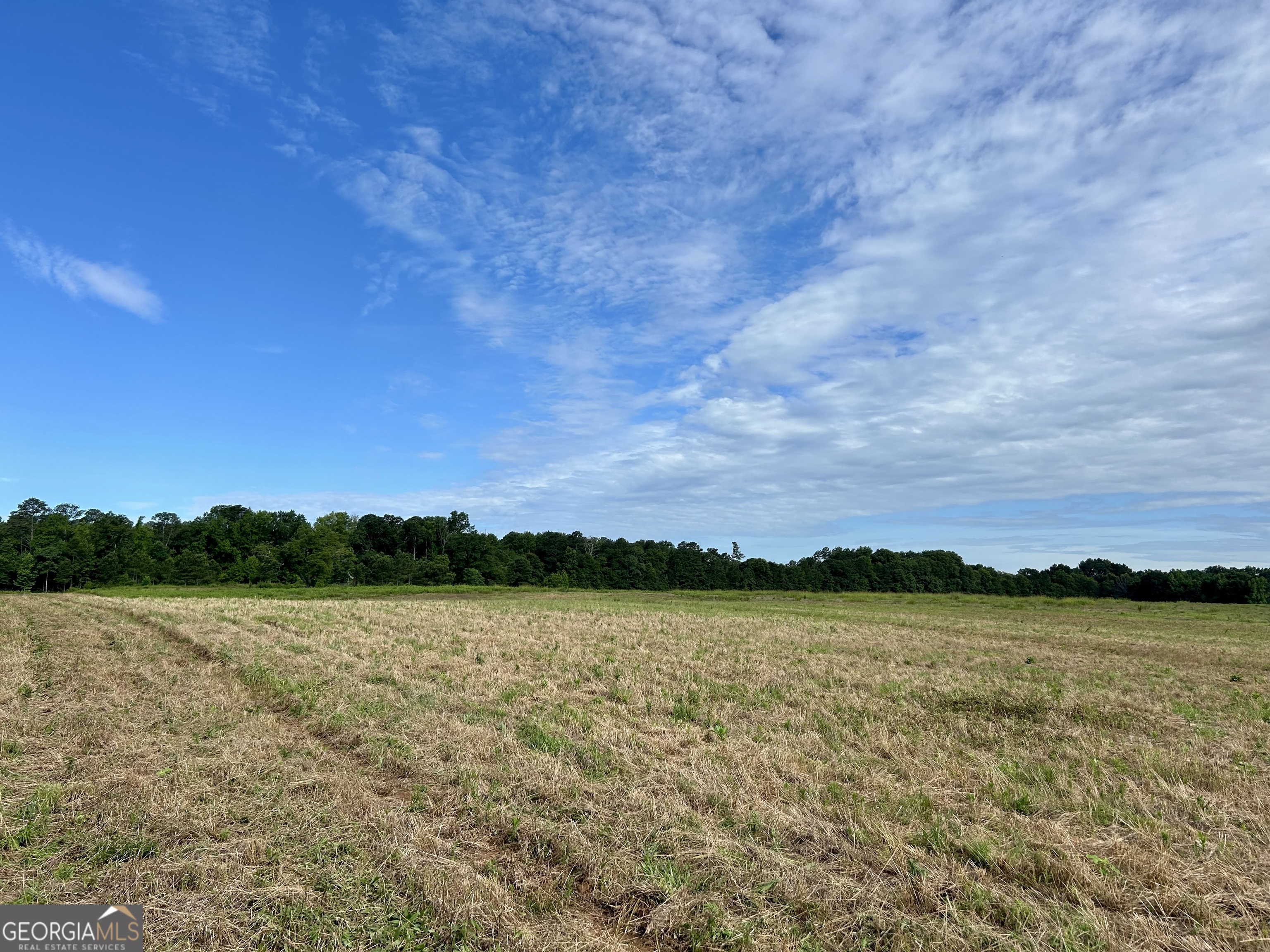 221 Hamil Road, Unit 12 5 AC Griffin, GA 30223 - Photo 1 of 1 a view of a lake with houses in the background