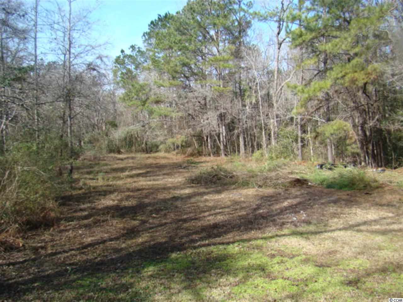 2180 Live Oak Road Longs, SC 29568 - Photo 14 of 14 Gallery Image 14