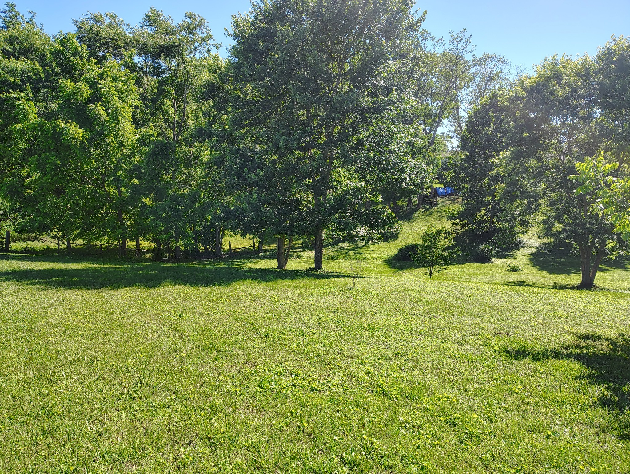 0 Short Street Lafayette, TN 37083 - Photo 2 of 8