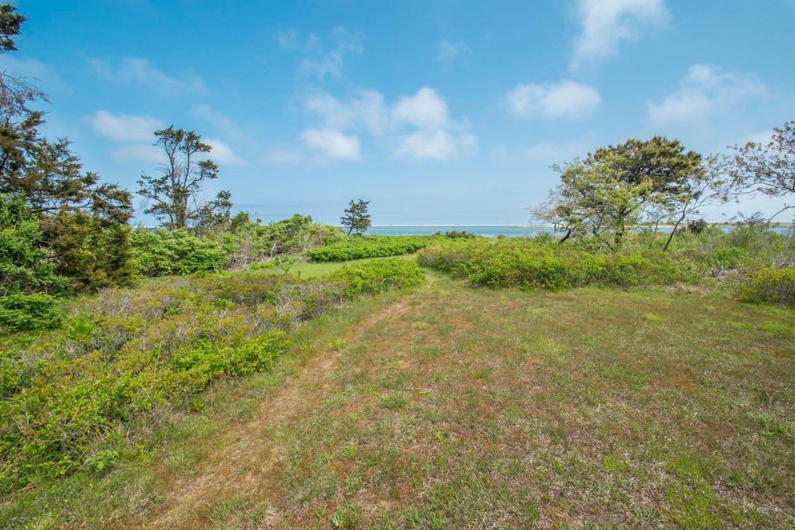 545 Old Harbor Road Chatham, MA 02633 - Photo 7 of 35 a view of a bunch of trees in a field