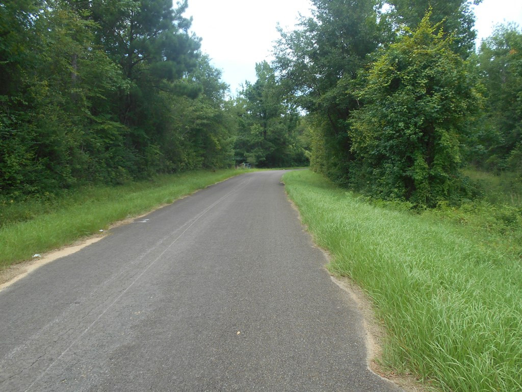 0 J J J J Carter Road Magnolia, MS 39652 - Photo 2 of 4 Photo 2