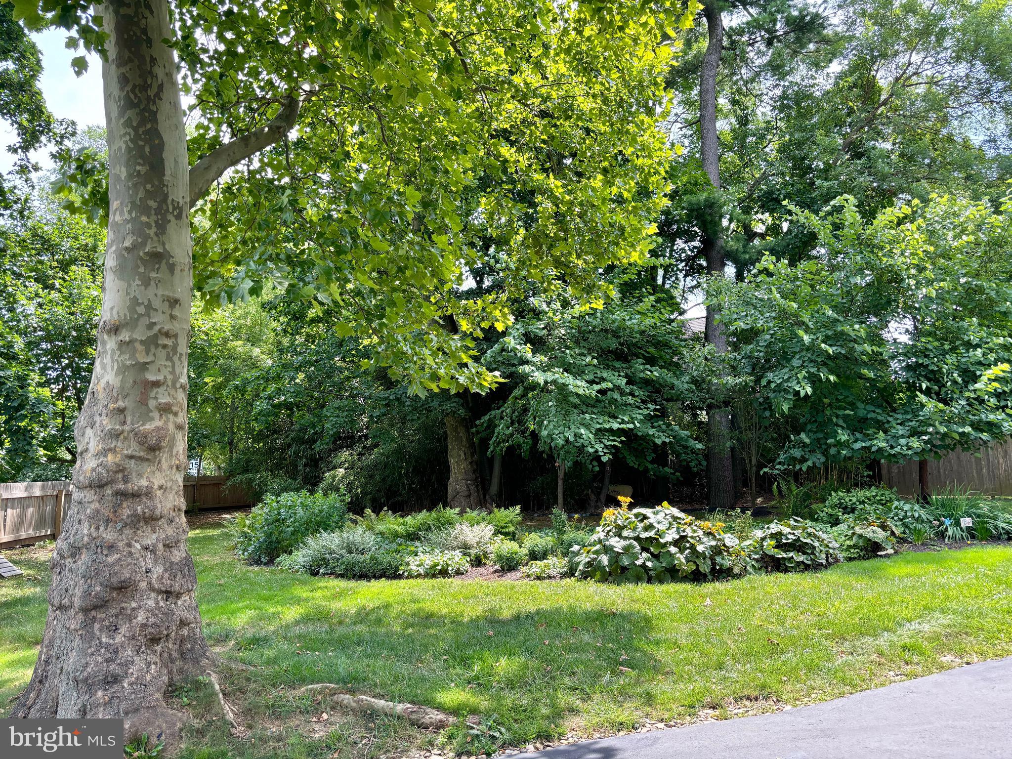 150 Cassatt Road Berwyn, PA 19312 - Photo 46 of 54 Side Garden