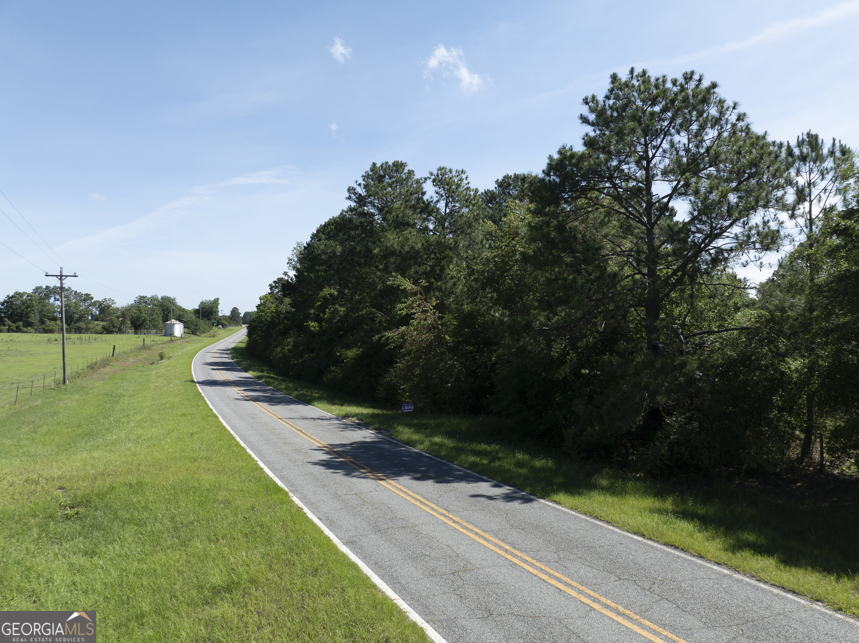 0 Scotland Road Alamo, GA 30411 - Photo 1 of 6