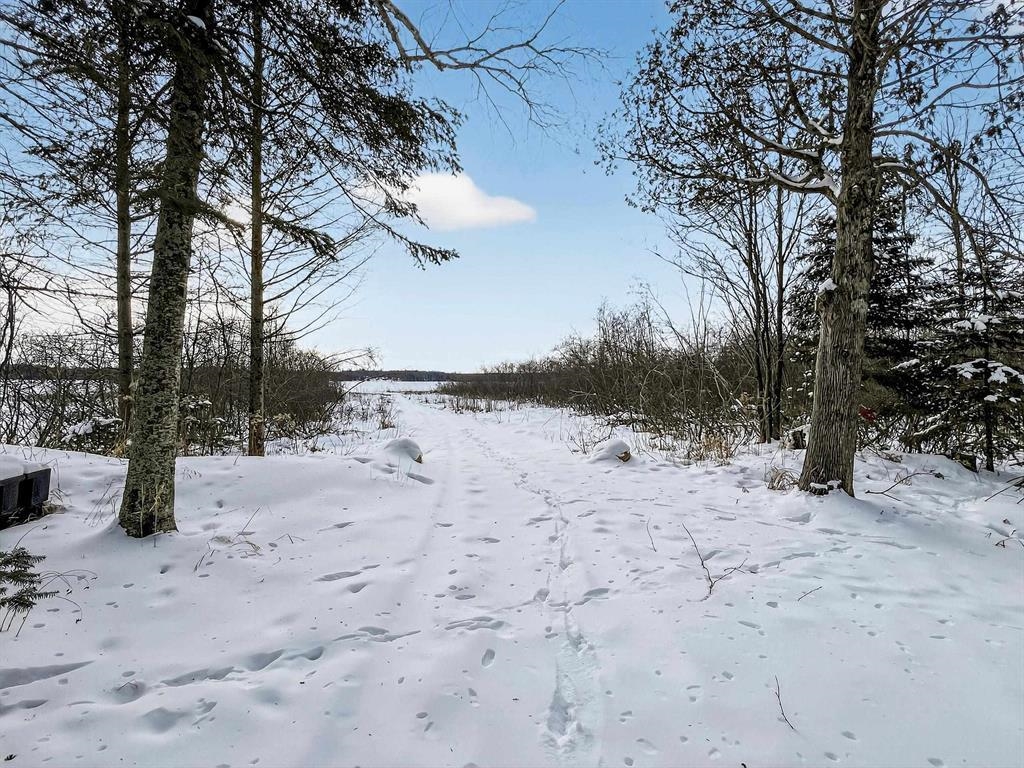 N11415 East Shore Road Pearson, WI 54462 - Photo 25 of 33
