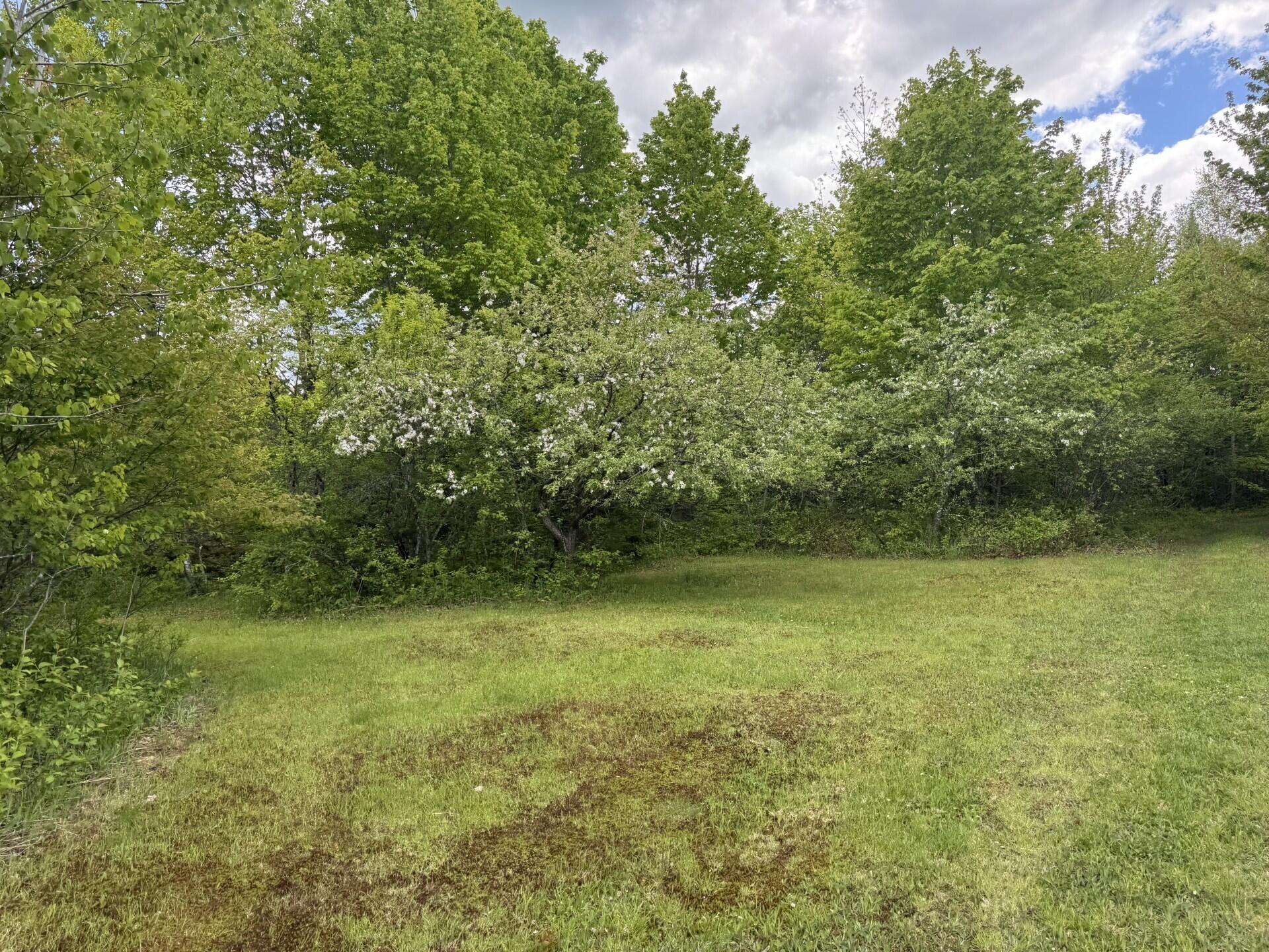 328 Clark Road Merrill, ME 04780 - Photo 27 of 55 Back Acreage I