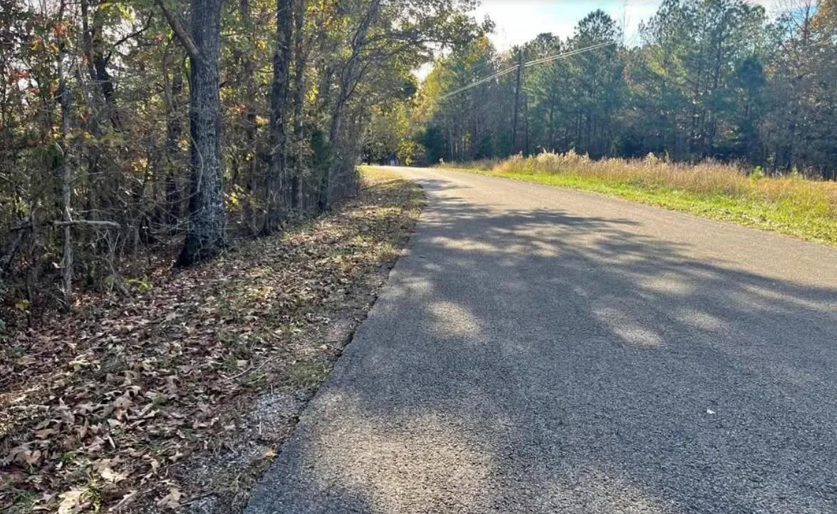 5030 Sand Mountain Road Enville, TN 38332 - Photo 2 of 3 a view of a yard with trees