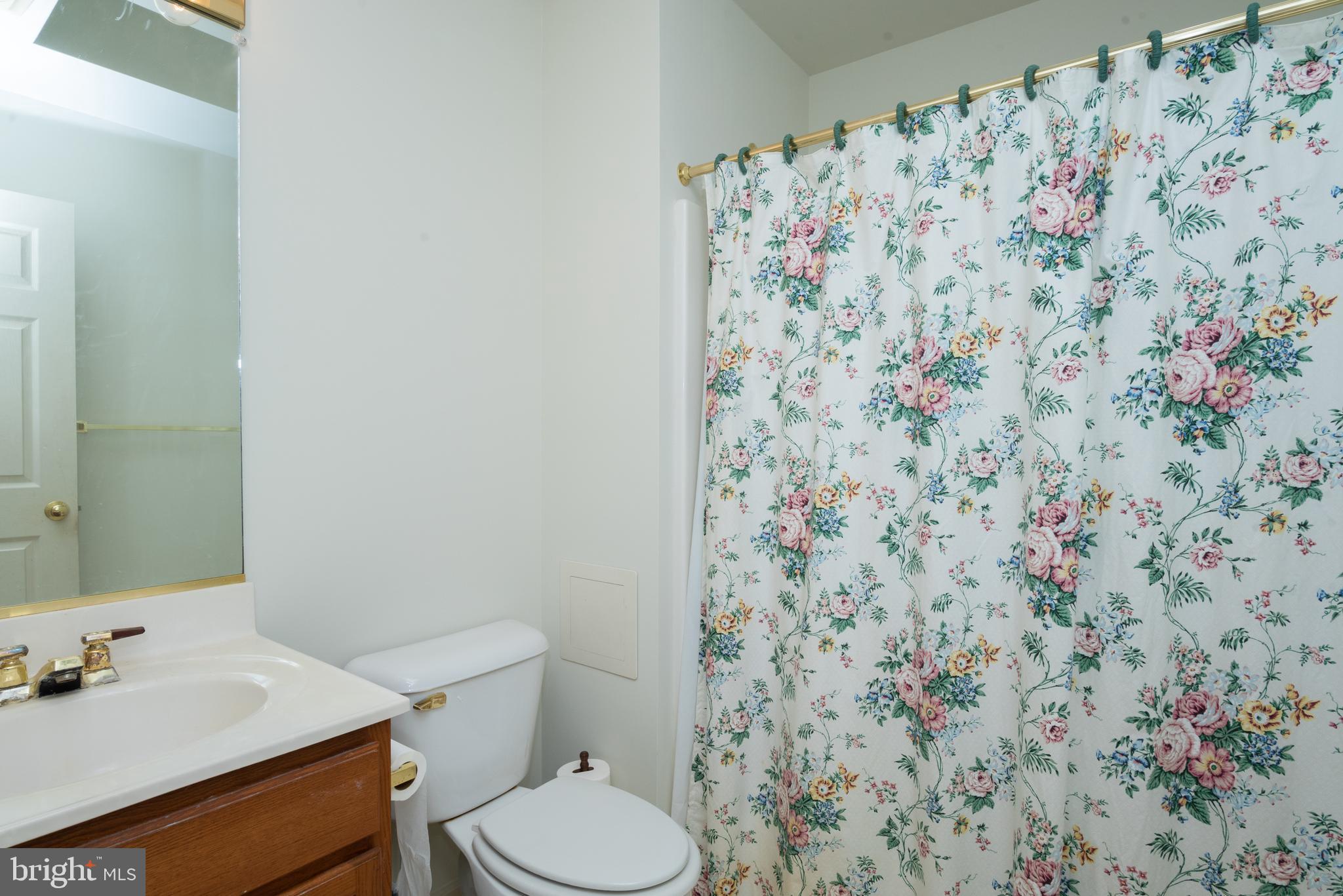11420 Terrapin Point Road Berlin, MD 21811 - Photo 45 of 51 Hall bath