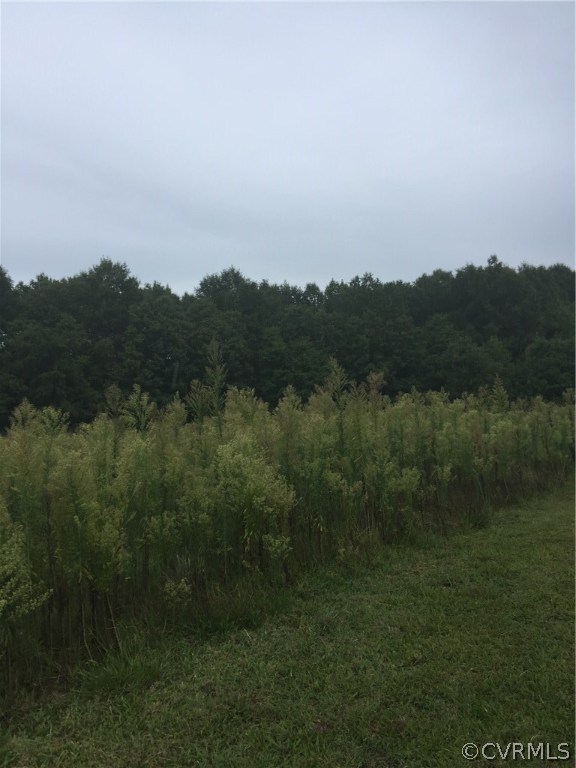2.498-acres Deep Run Road Cumberland, VA 23040 - Photo 11 of 13 Gallery Image 11