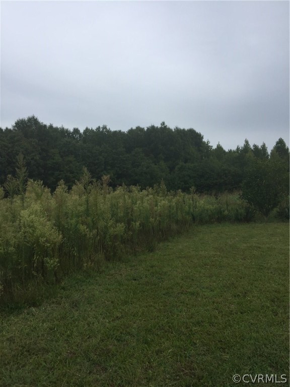2.498-acres Deep Run Road Cumberland, VA 23040 - Photo 12 of 13 Gallery Image 12