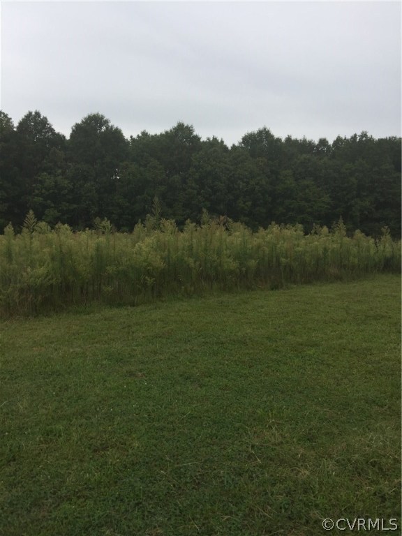 2.498-acres Deep Run Road Cumberland, VA 23040 - Photo 3 of 13 Gallery Image 3