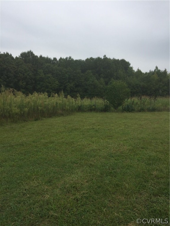 2.498-acres Deep Run Road Cumberland, VA 23040 - Photo 4 of 13 Gallery Image 4