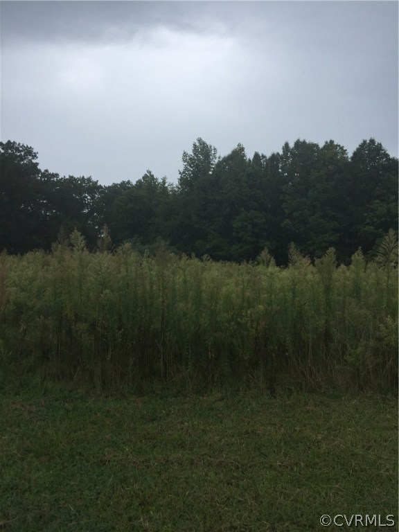2.498-acres Deep Run Road Cumberland, VA 23040 - Photo 7 of 13 Gallery Image 7