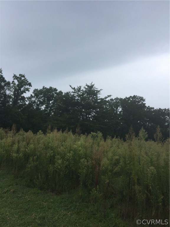 2.498-acres Deep Run Road Cumberland, VA 23040 - Photo 10 of 13 Gallery Image 10