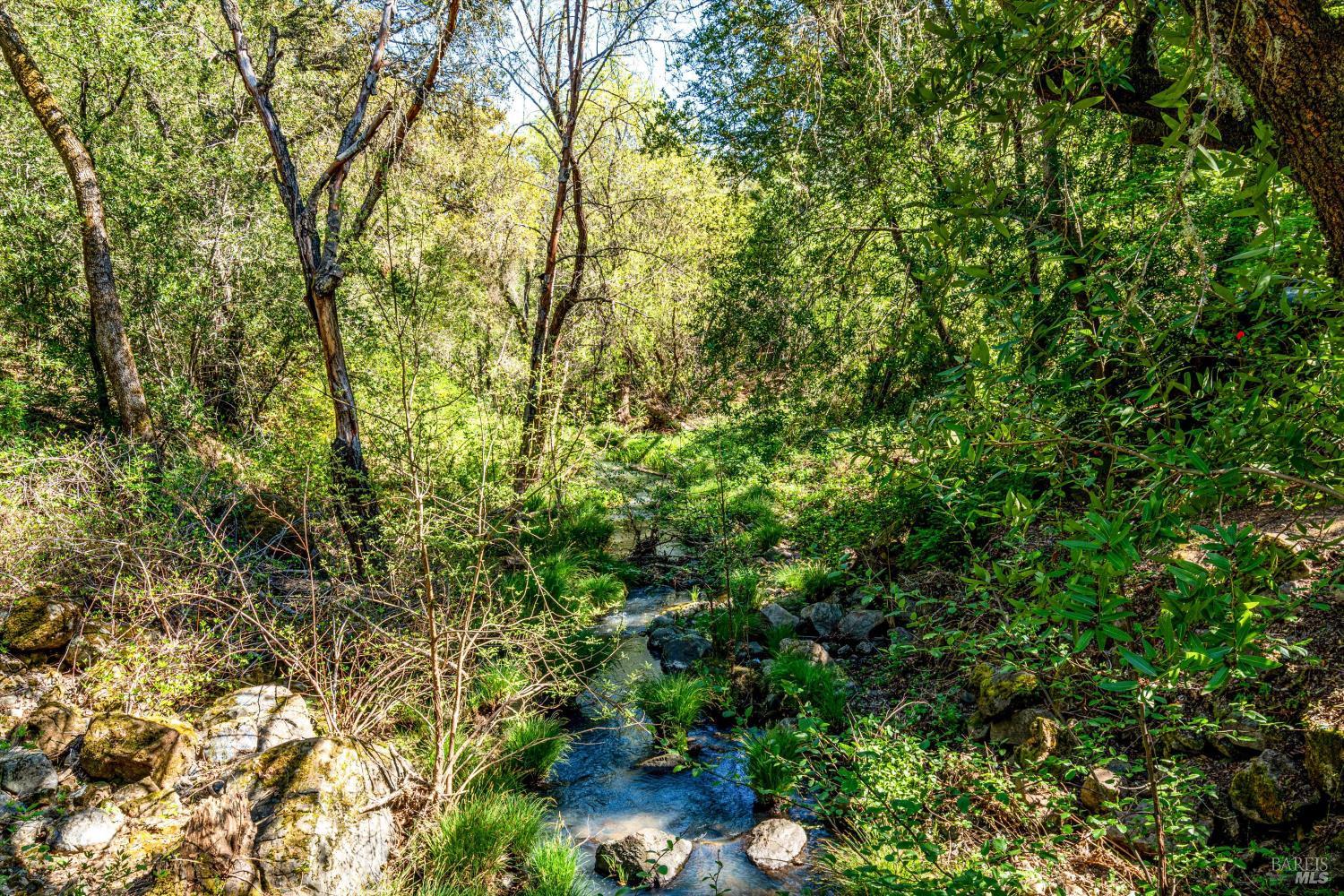 850 Conn Valley Road St. Helena, CA 94574 - Photo 84 of 86