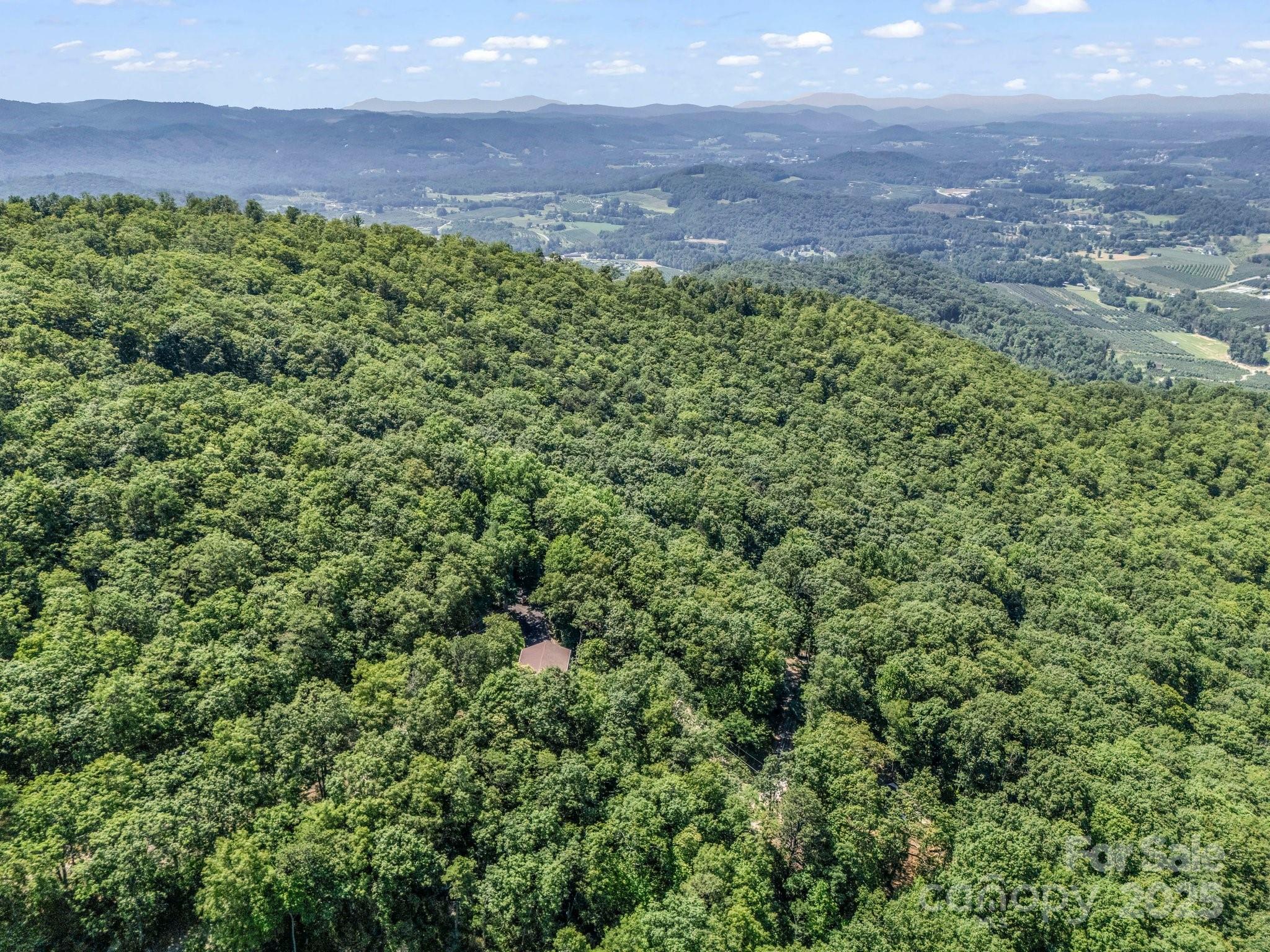 291 Pine Ridge Road Hendersonville, NC 28792 - Photo 6 of 28