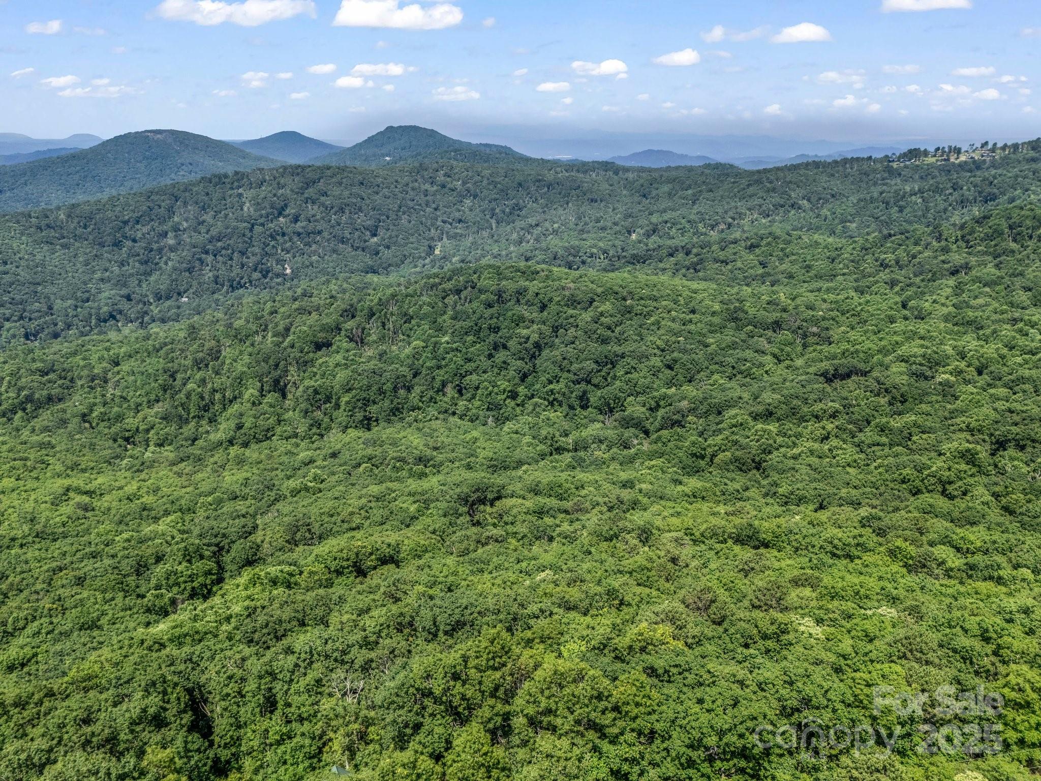 291 Pine Ridge Road Hendersonville, NC 28792 - Photo 7 of 28