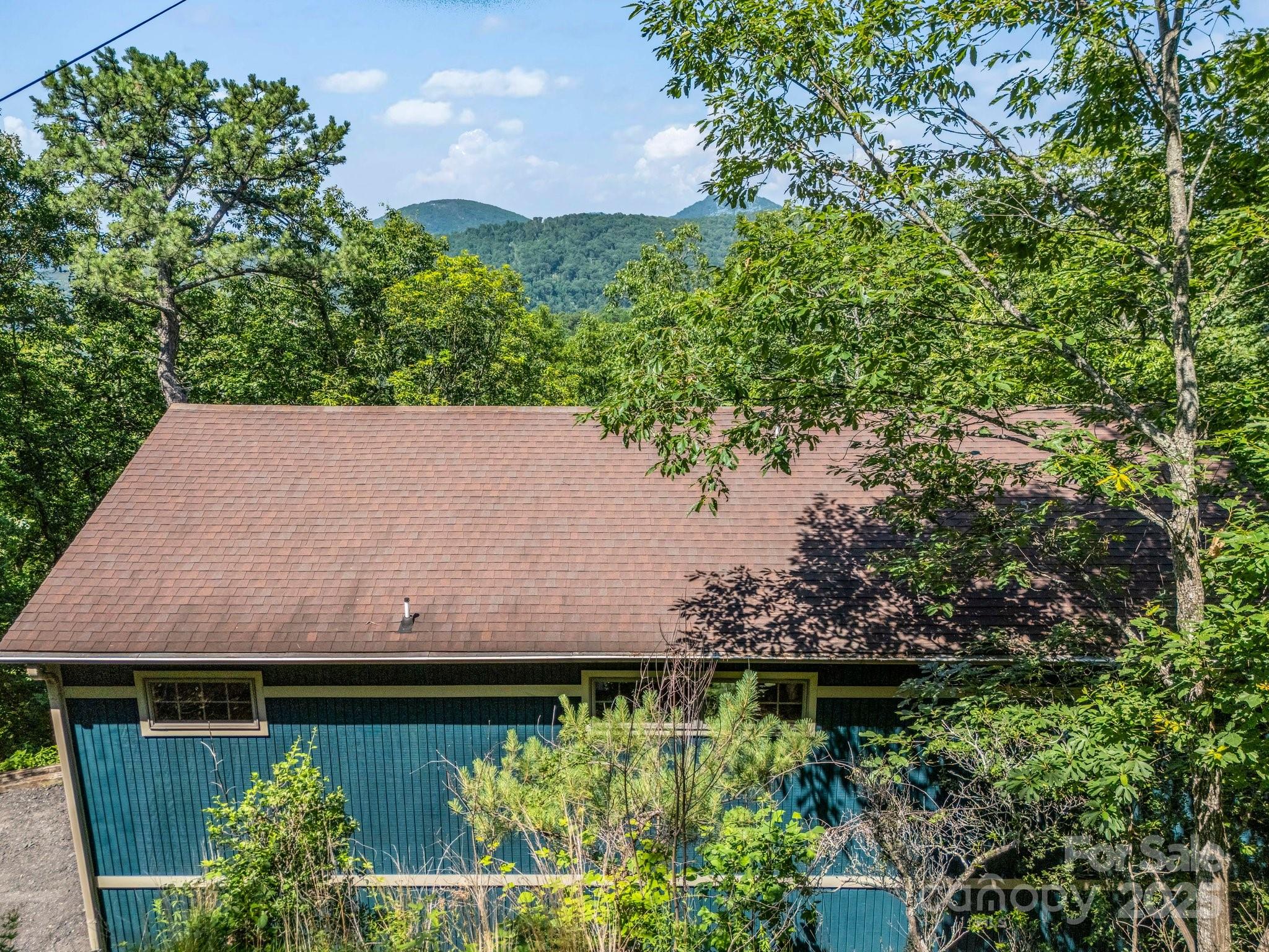 291 Pine Ridge Road Hendersonville, NC 28792 - Photo 8 of 28