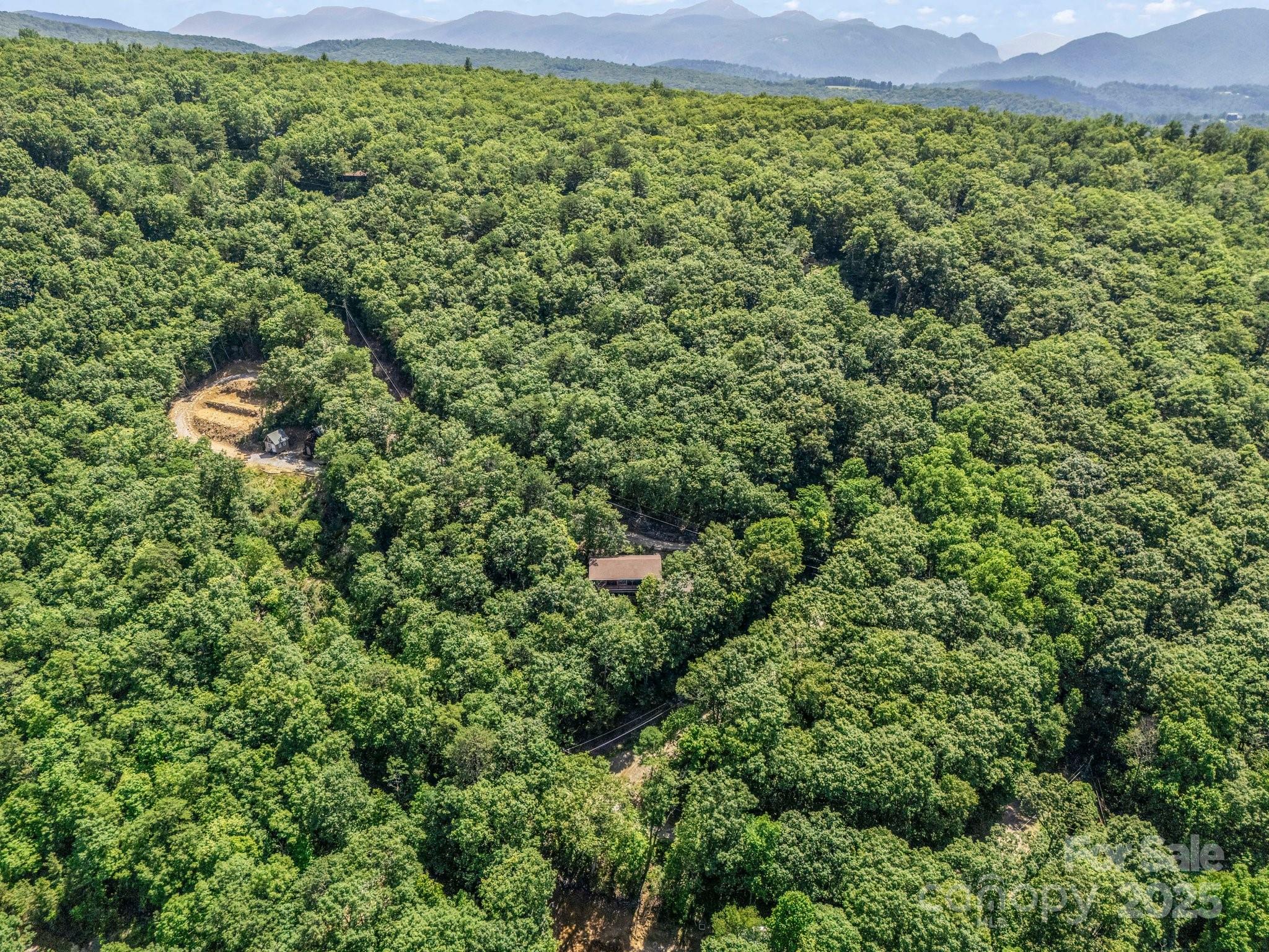 291 Pine Ridge Road Hendersonville, NC 28792 - Photo 9 of 28