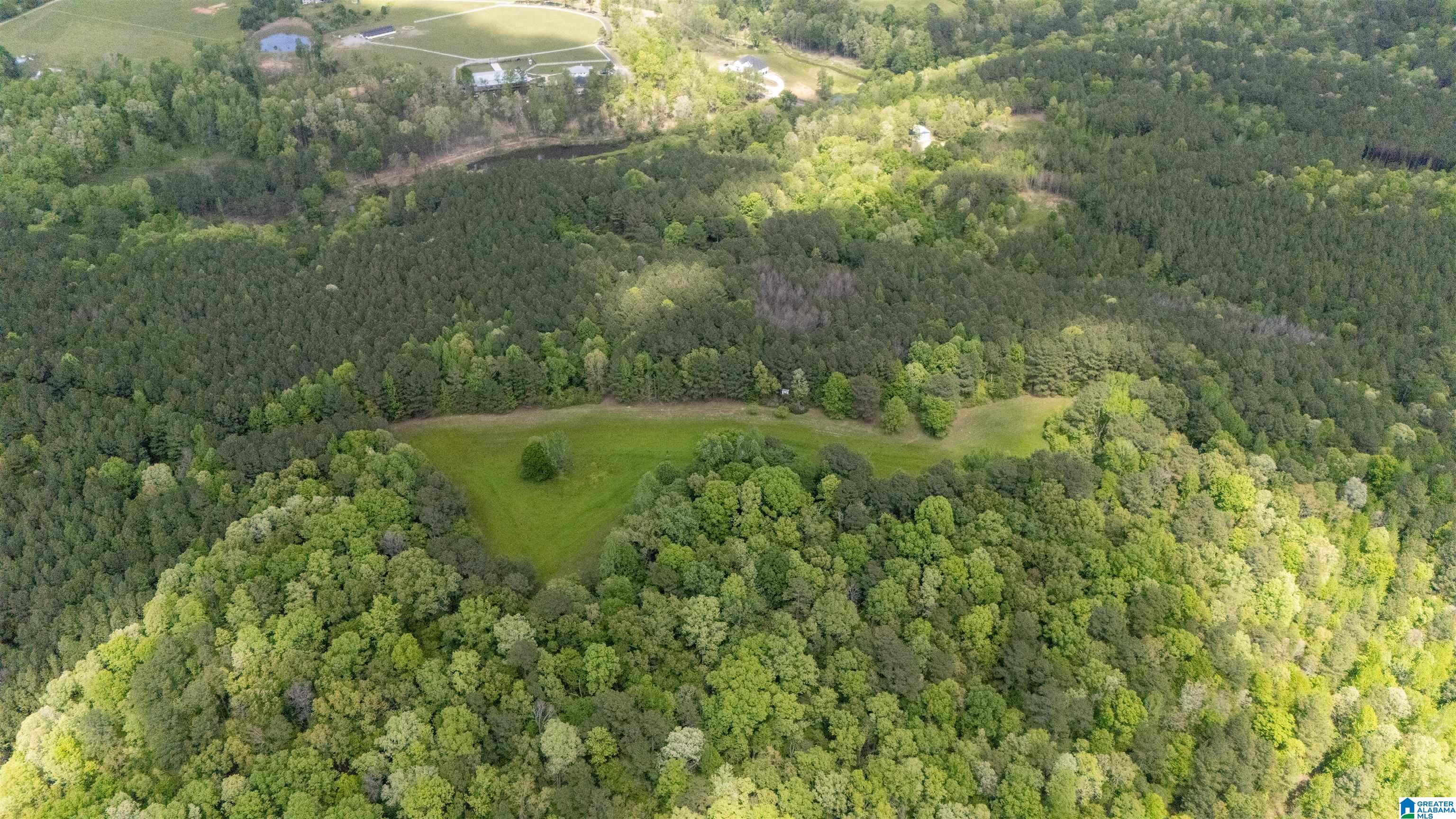 2121 Center Hill Road Trafford, AL 35172 - Photo 99 of 100
