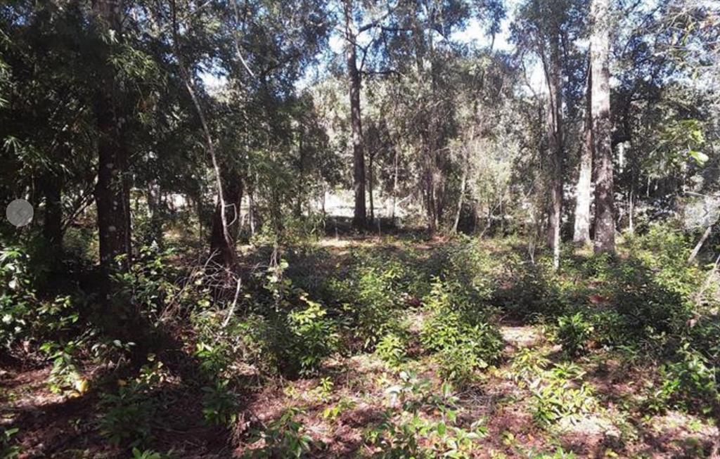 Tbd Southwest 144th Lane Road Ocala, FL 34473 - Photo 1 of 1