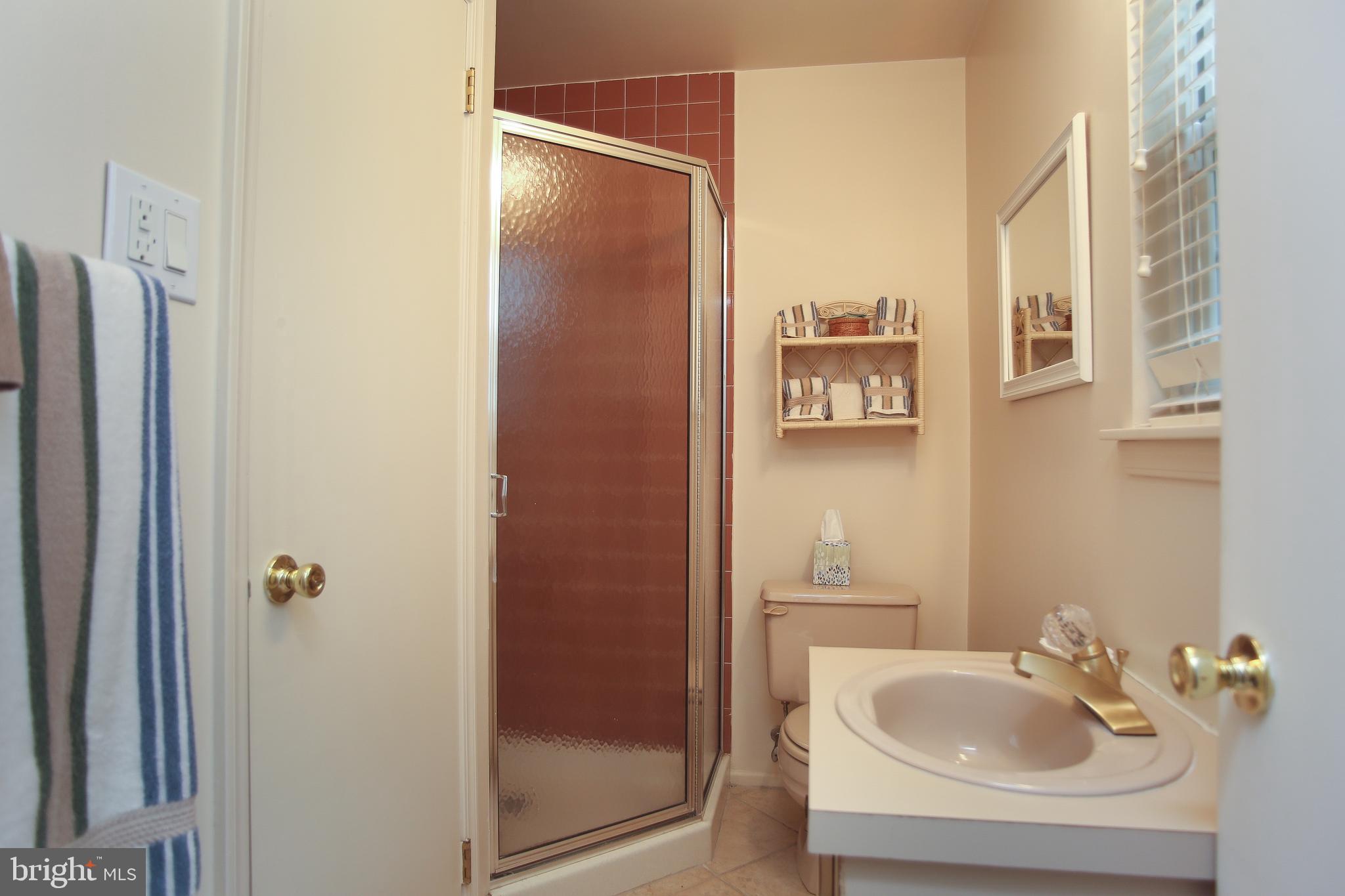 242 Springfield Avenue Philadelphia, PA 19118 - Photo 17 of 24 Lower level full bath