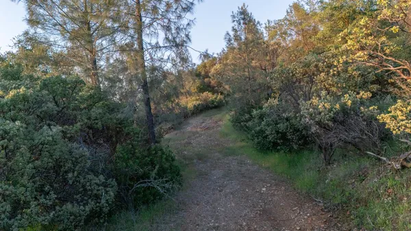 $230,000 | 12911 Long Valley Road, Penn Valley, CA 95946