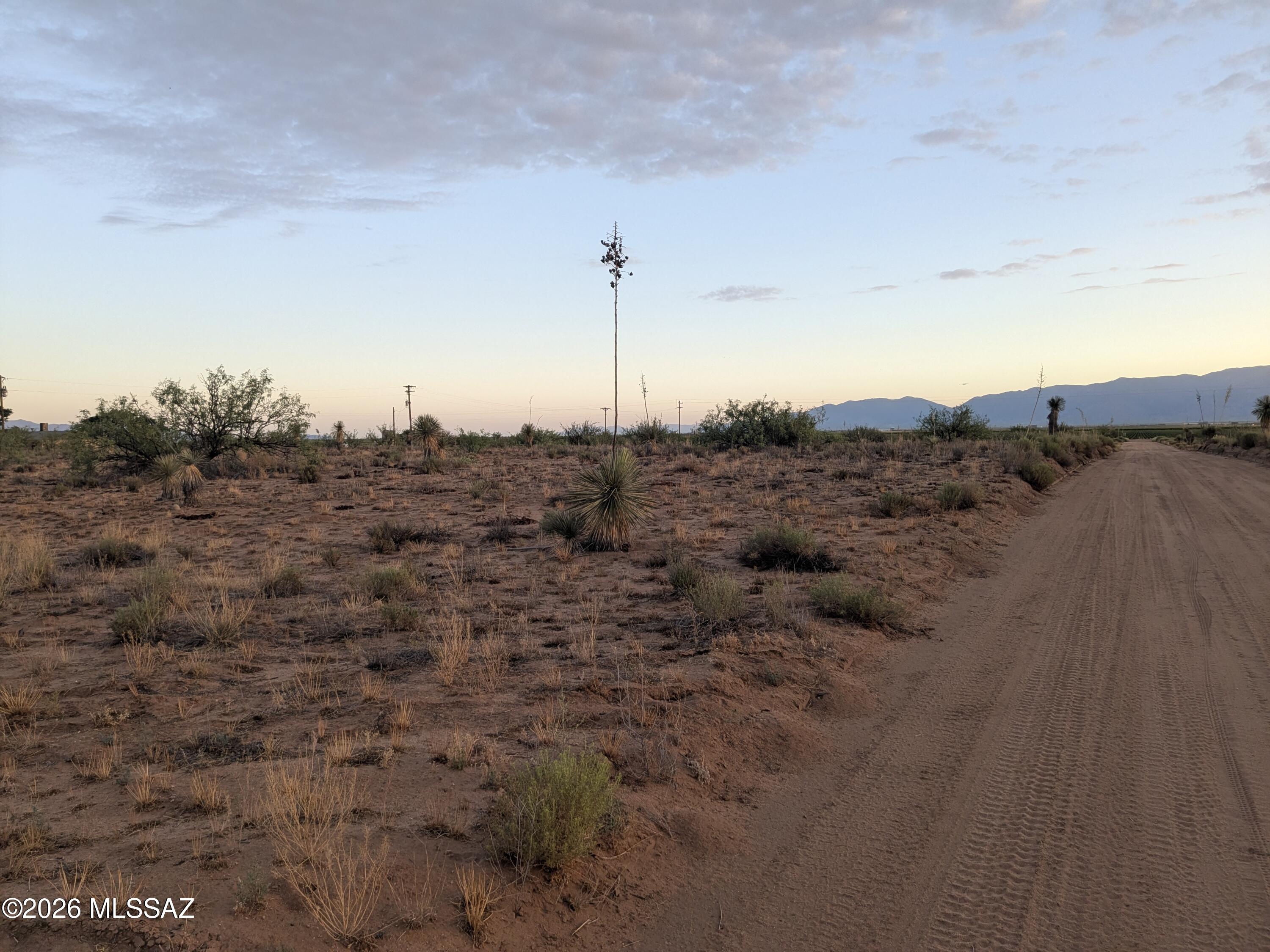 County Line Road, Unit 20909021 Willcox, AZ 85643 - Photo 6 of 12 PXL_20260709_123234782