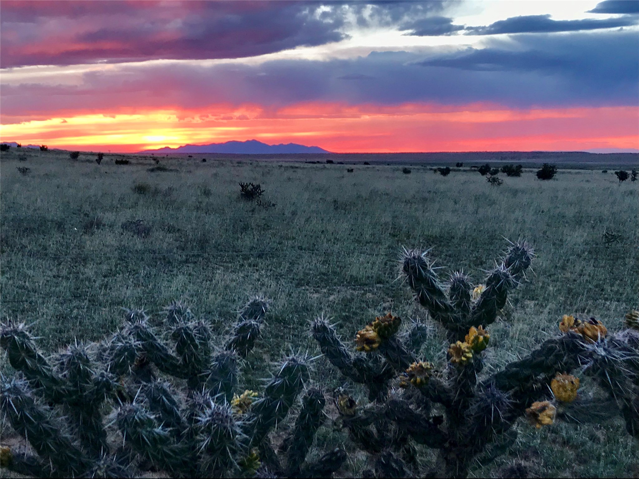 26262 US Highway 285 Ribera, NM 87560 - Photo 44 of 46