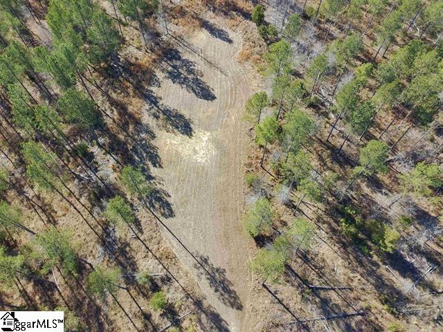0 Fields Road Pauline, SC 29374 - Photo 2 of 7