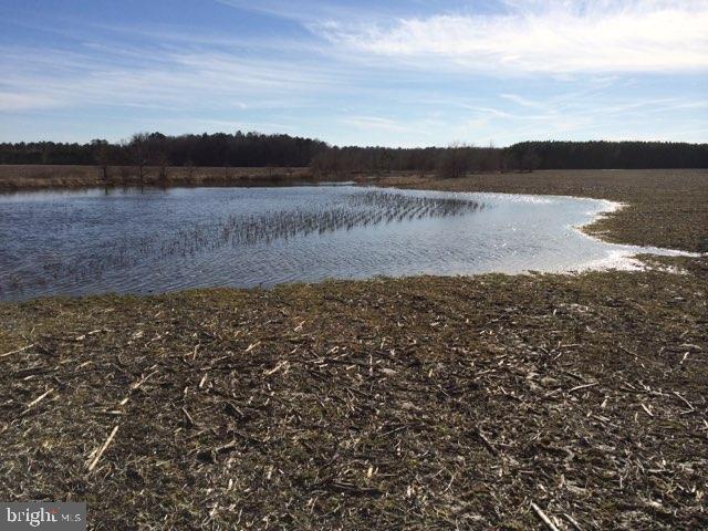 0 Snow Hill Road Girdletree, MD 21829 - Photo 20 of 20 Gallery Image 20