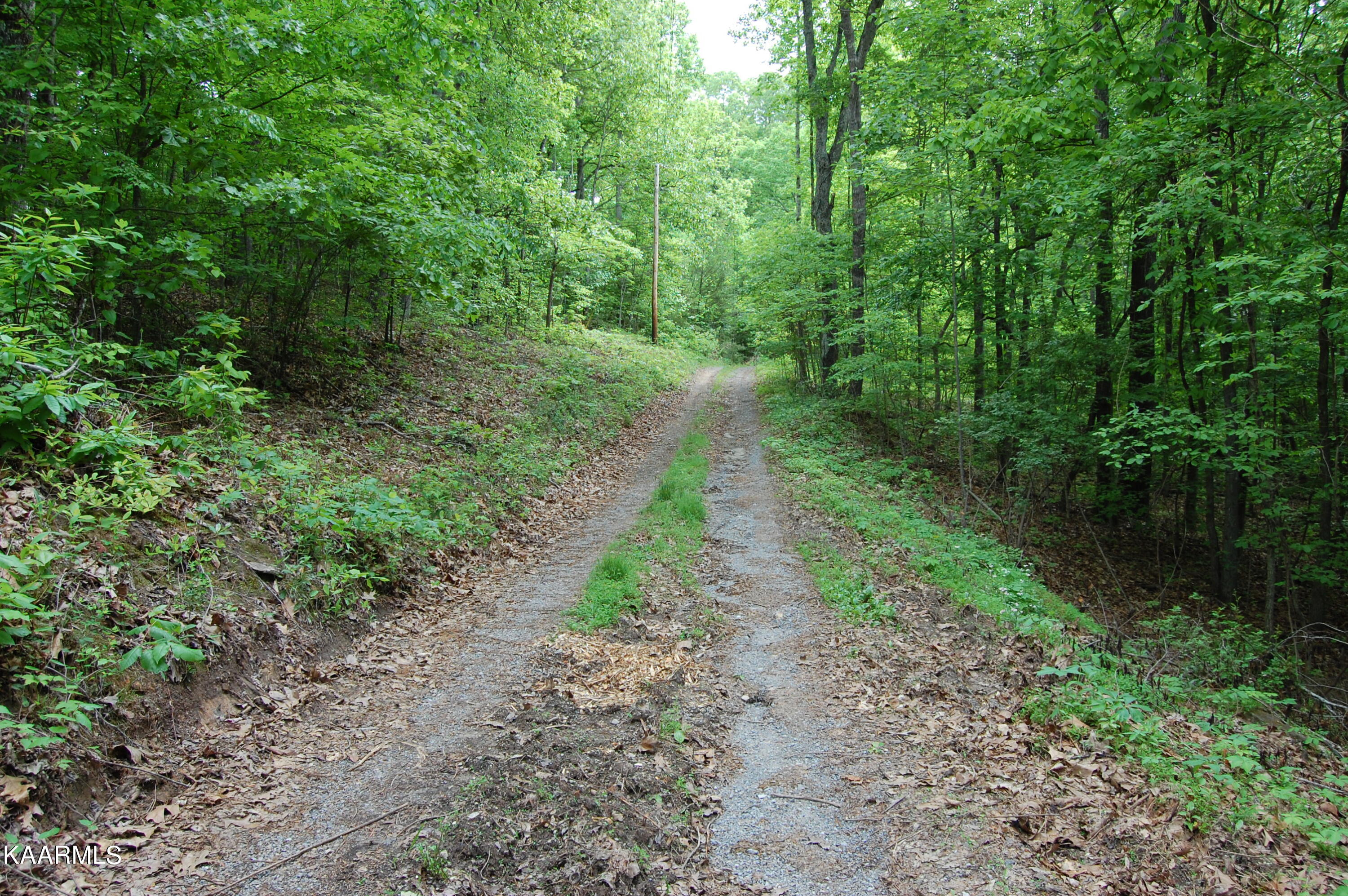 215 Autumn Lane Heiskell, TN 37754 - Photo 2 of 9 215Autumn-DrivewayIn-FirstView