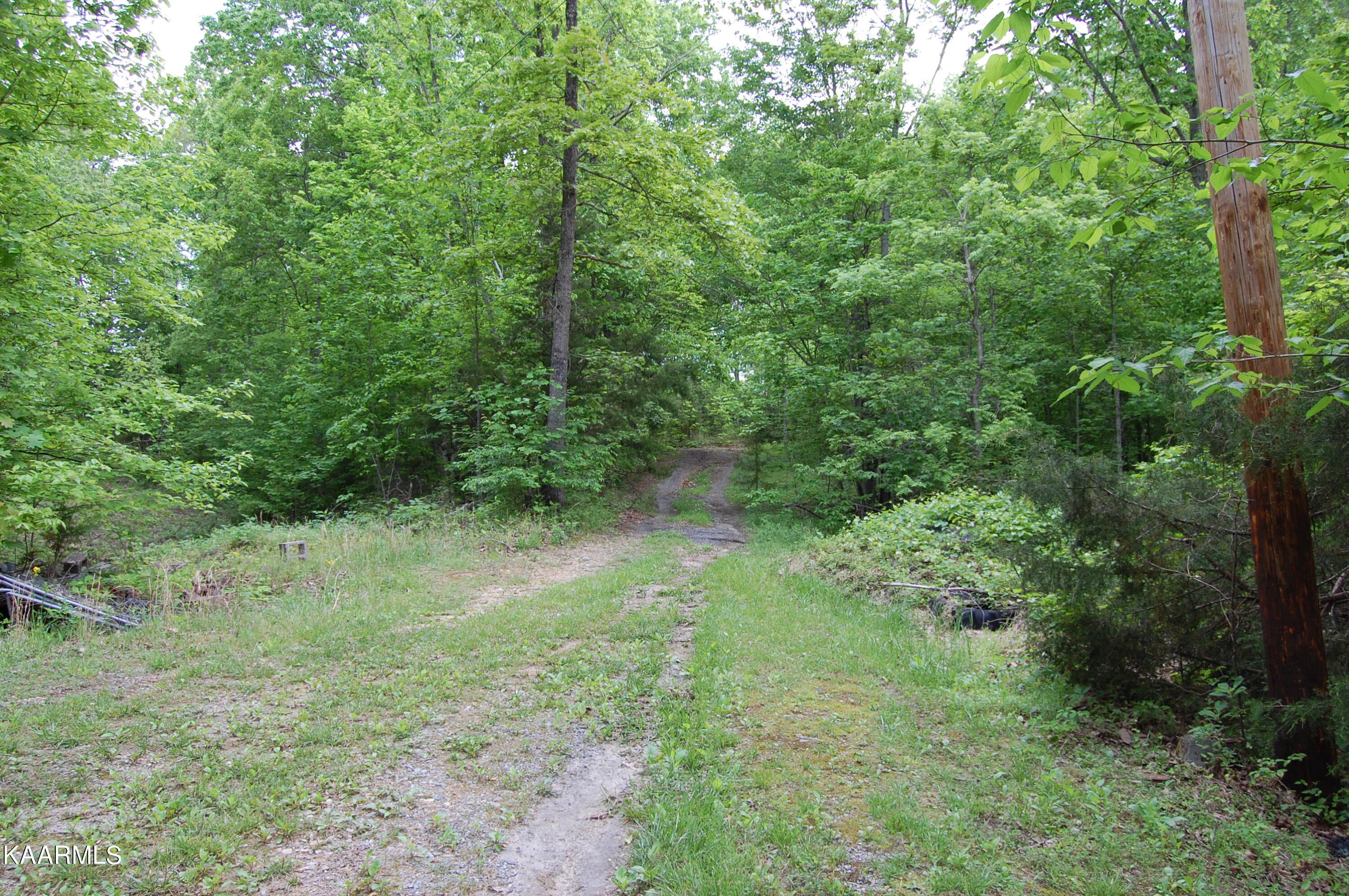 215 Autumn Lane Heiskell, TN 37754 - Photo 4 of 9 215Autumn-Driveway-ViewFrom-HomeSite