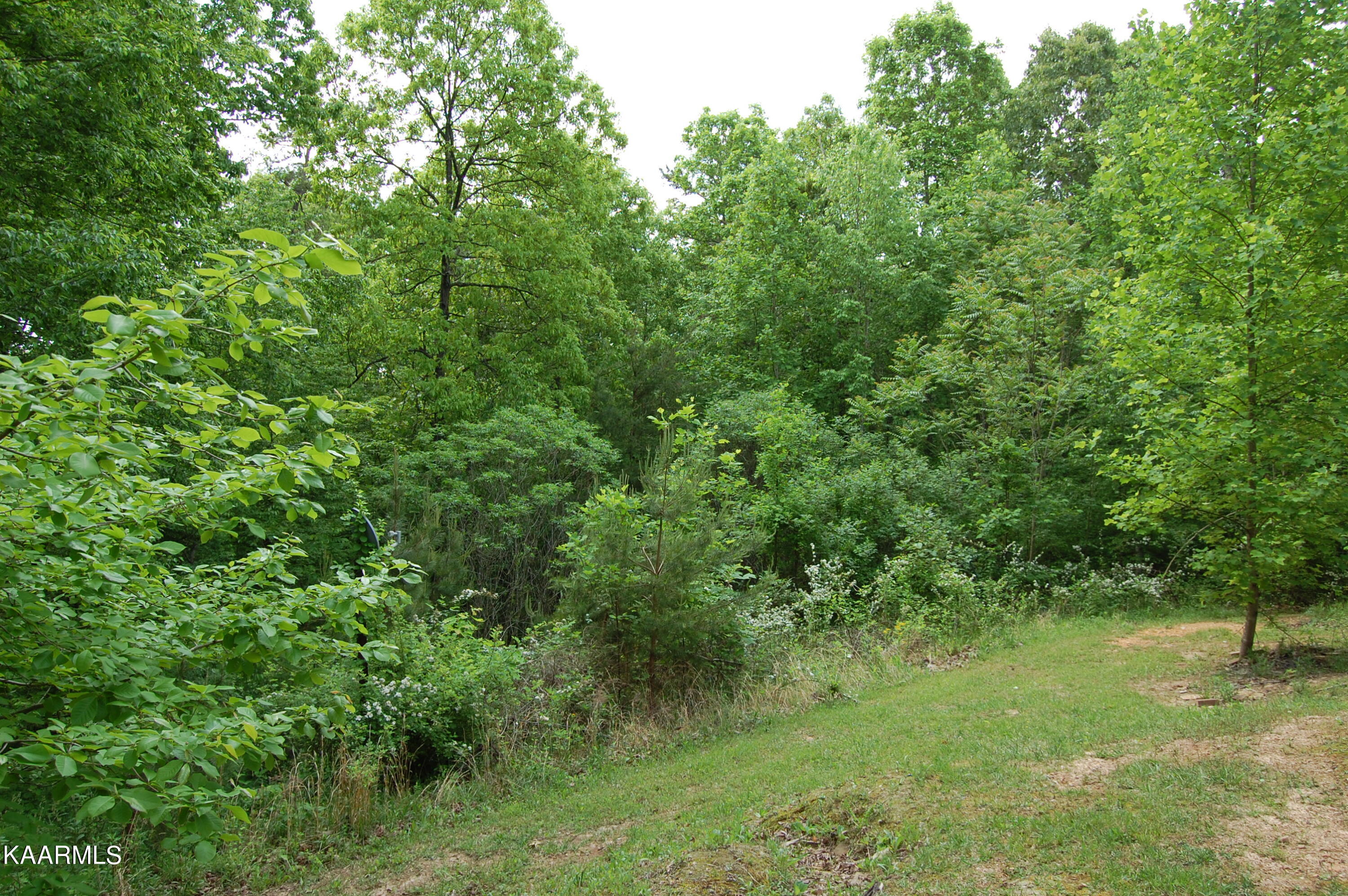 215 Autumn Lane Heiskell, TN 37754 - Photo 6 of 9 215Autumn-WoodedView2
