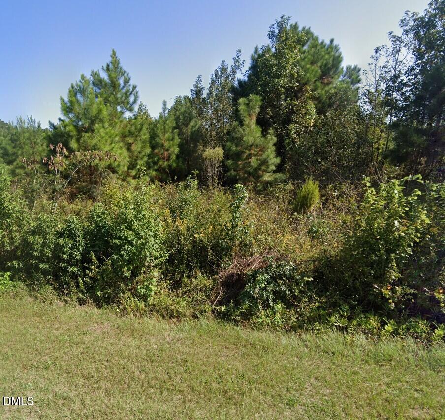 0 East Darden Road Clinton, NC 28328 - Photo 2 of 3 a view of a bunch of trees and bushes