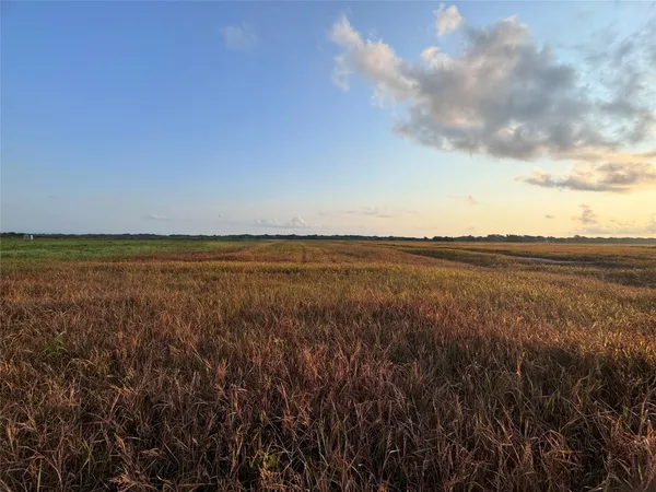 a view of lake with green space