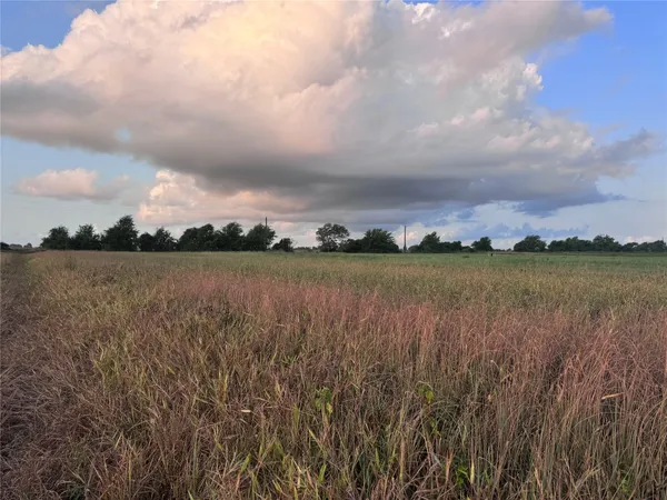 a view of a lake with houses in the back