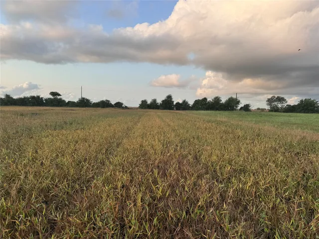 a view of an ocean and beach