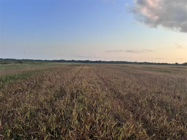 a view of an ocean beach and mountain
